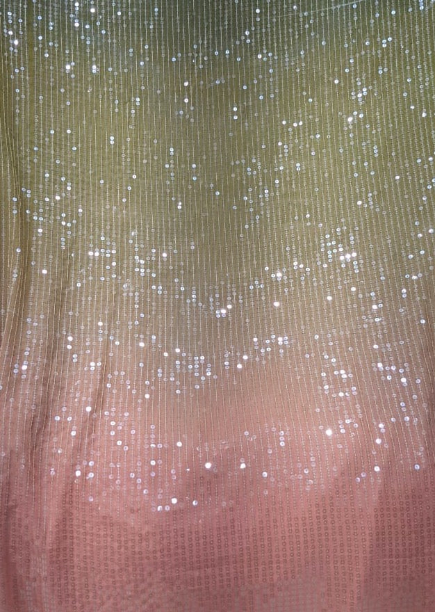 SEQUIN OMBRÉ SARI
